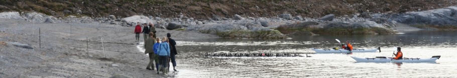 The geese arrive at the net