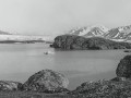20220926 Nederlandse vogelaar op Spitsbergen 1939 & 1956